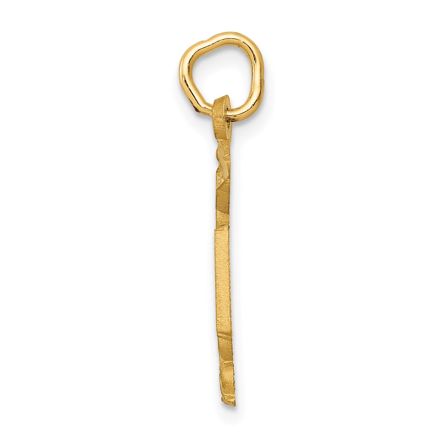 14k RN Registered Nurse Charm