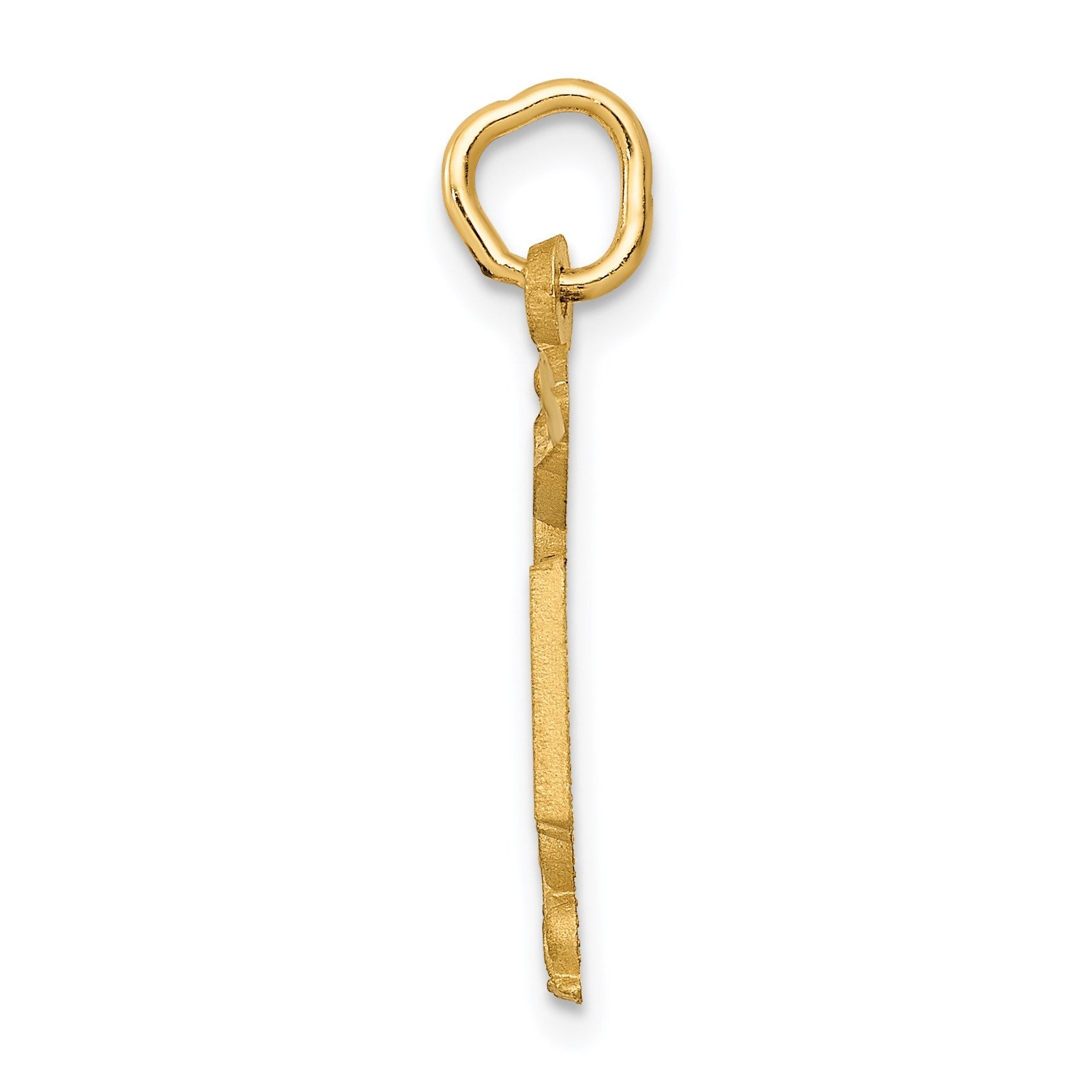 14k RN Registered Nurse Charm