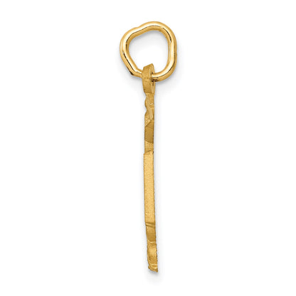 14k RN Registered Nurse Charm
