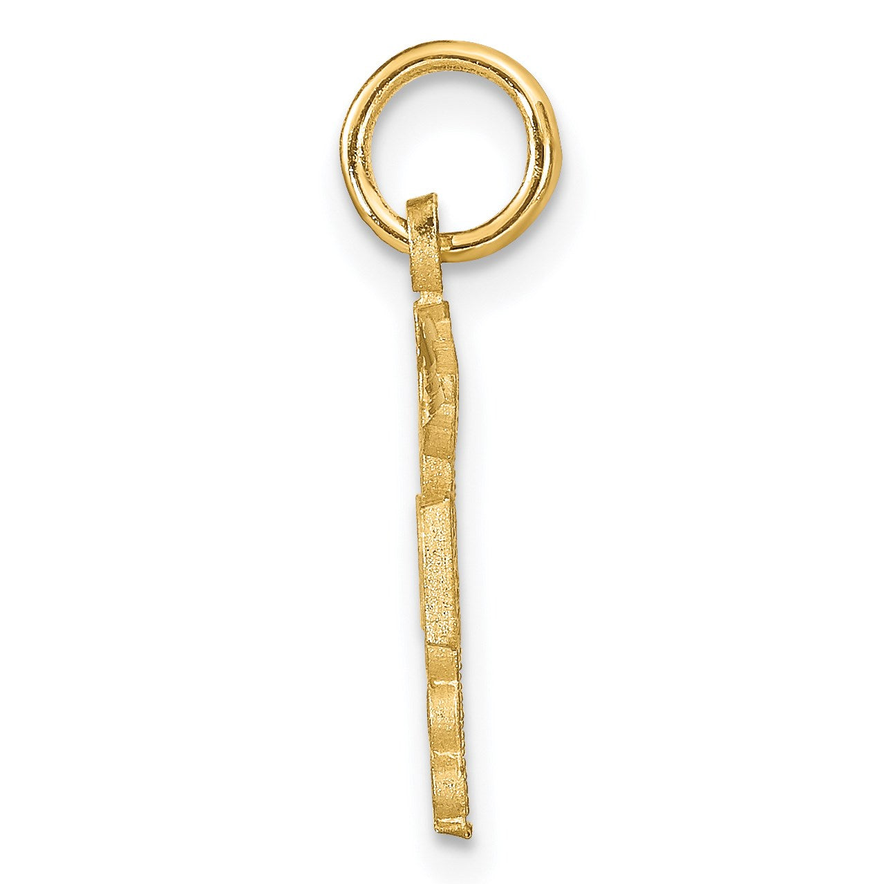 14k RN Registered Nurse Charm