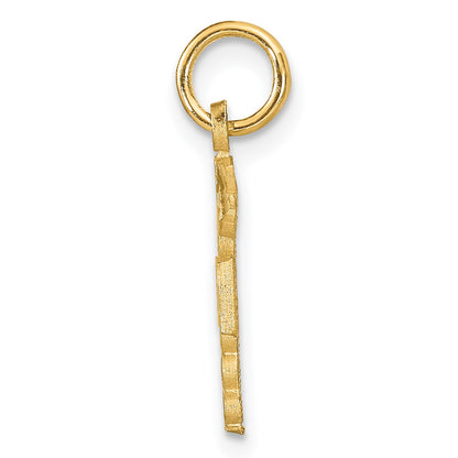 14k RN Registered Nurse Charm
