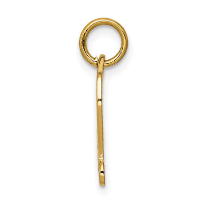 14k DIPLOMA Engravable Charm