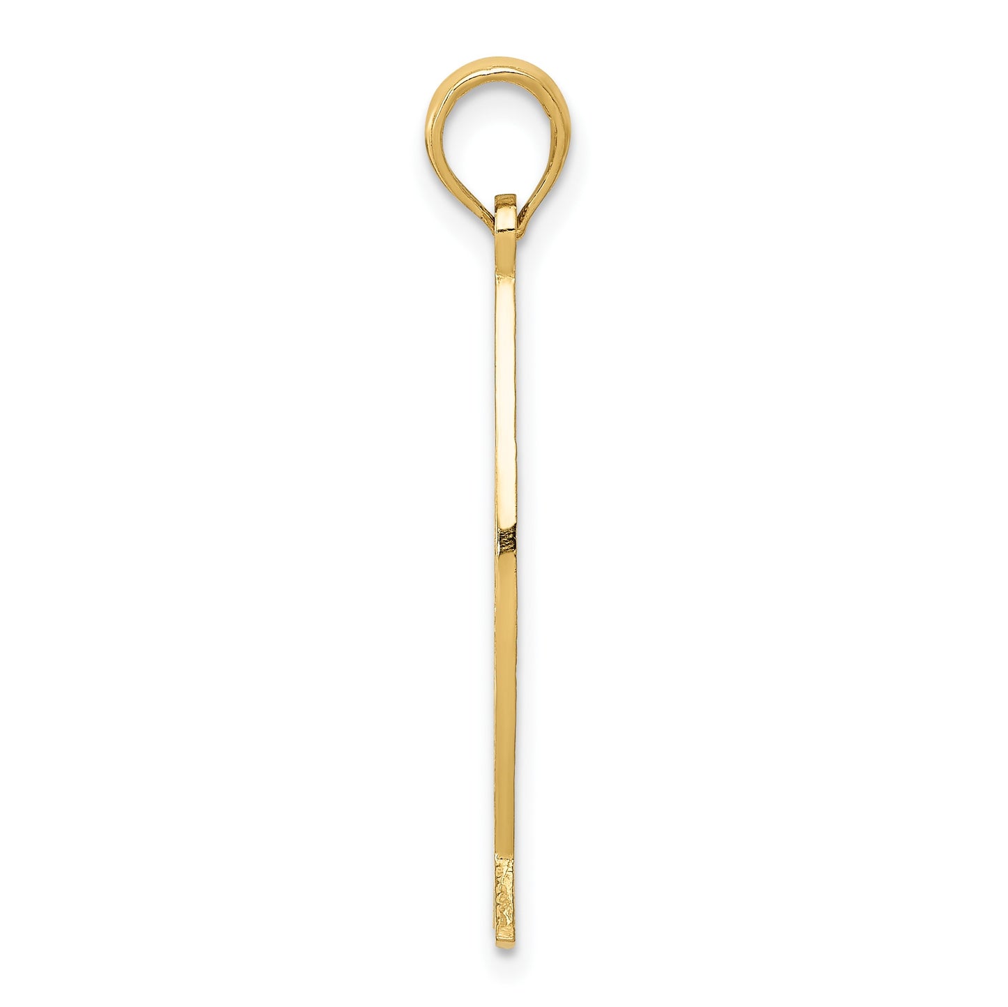 14K Ichthus Fish with JESUS Pendant