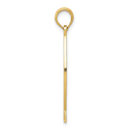 14K Ichthus Fish with JESUS Pendant