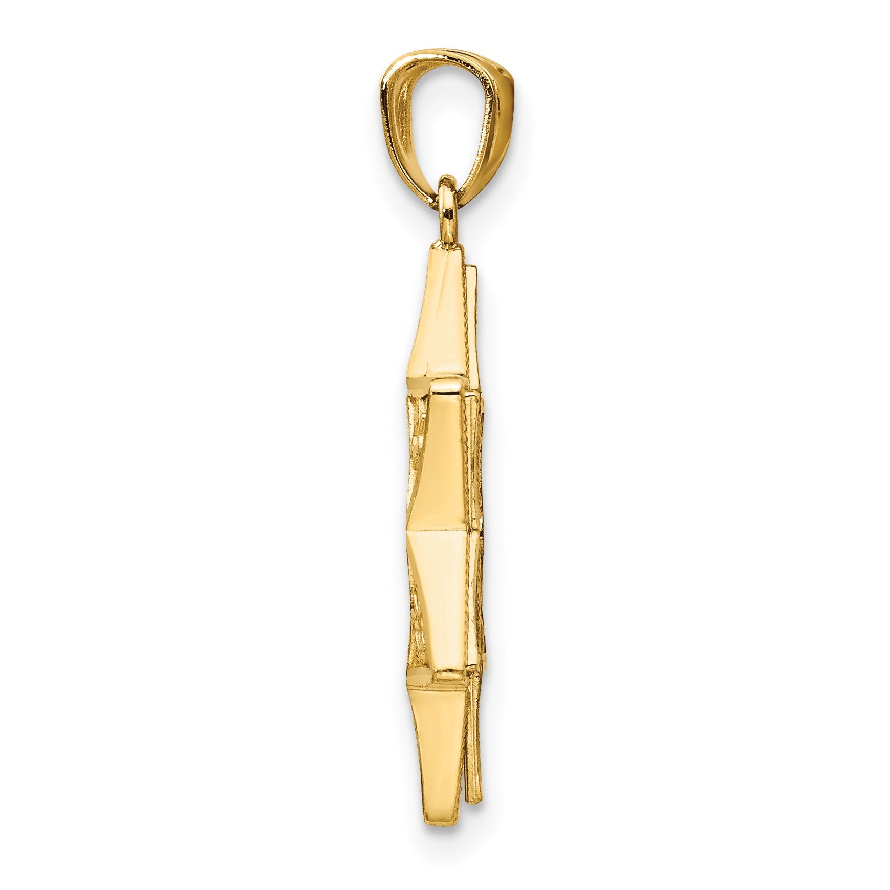 14k Two-tone Star of David and Torah Reversible Pendant
