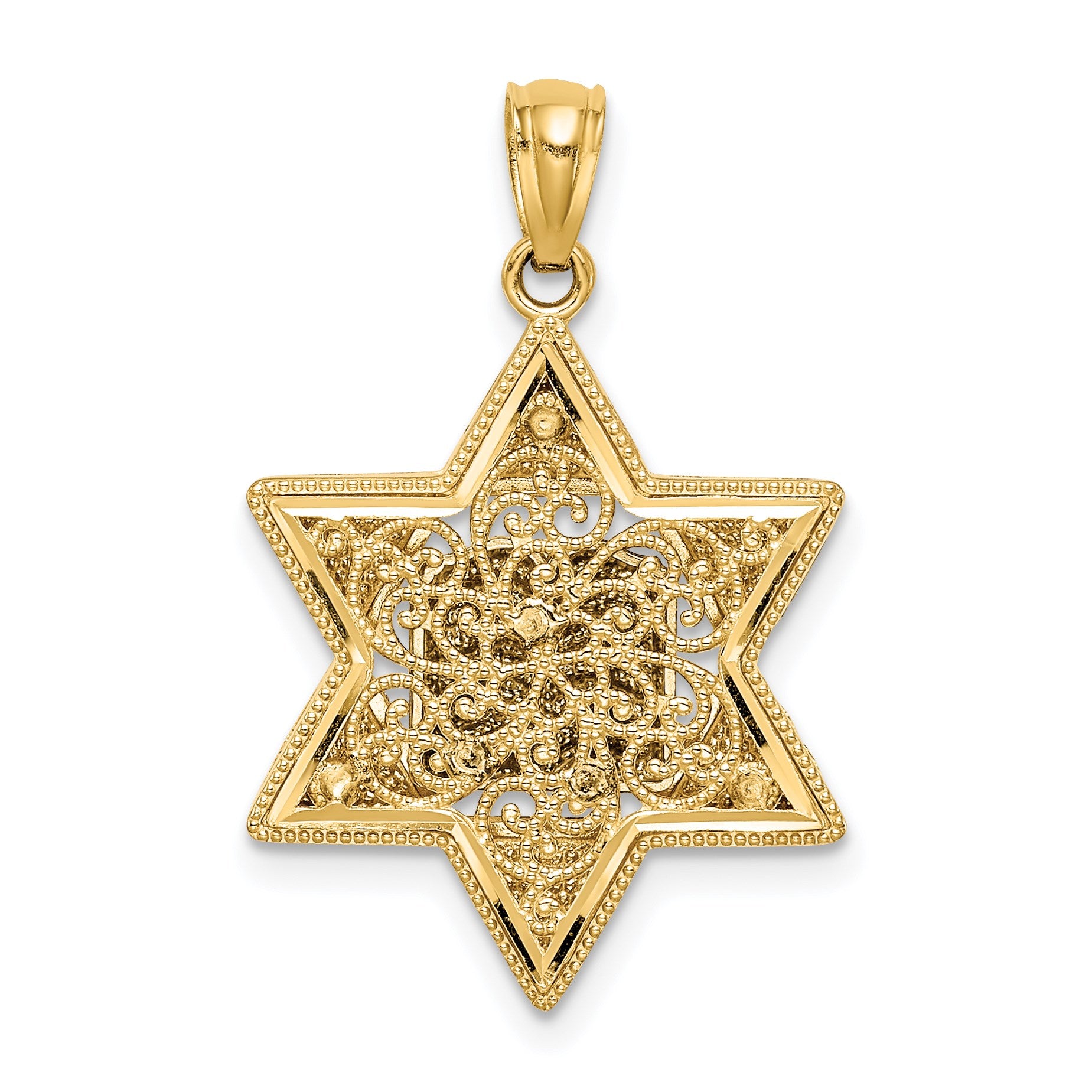 14k Two-tone Star of David and Torah Reversible Pendant