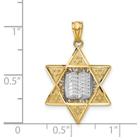 14k Two-tone Star of David and Torah Reversible Pendant