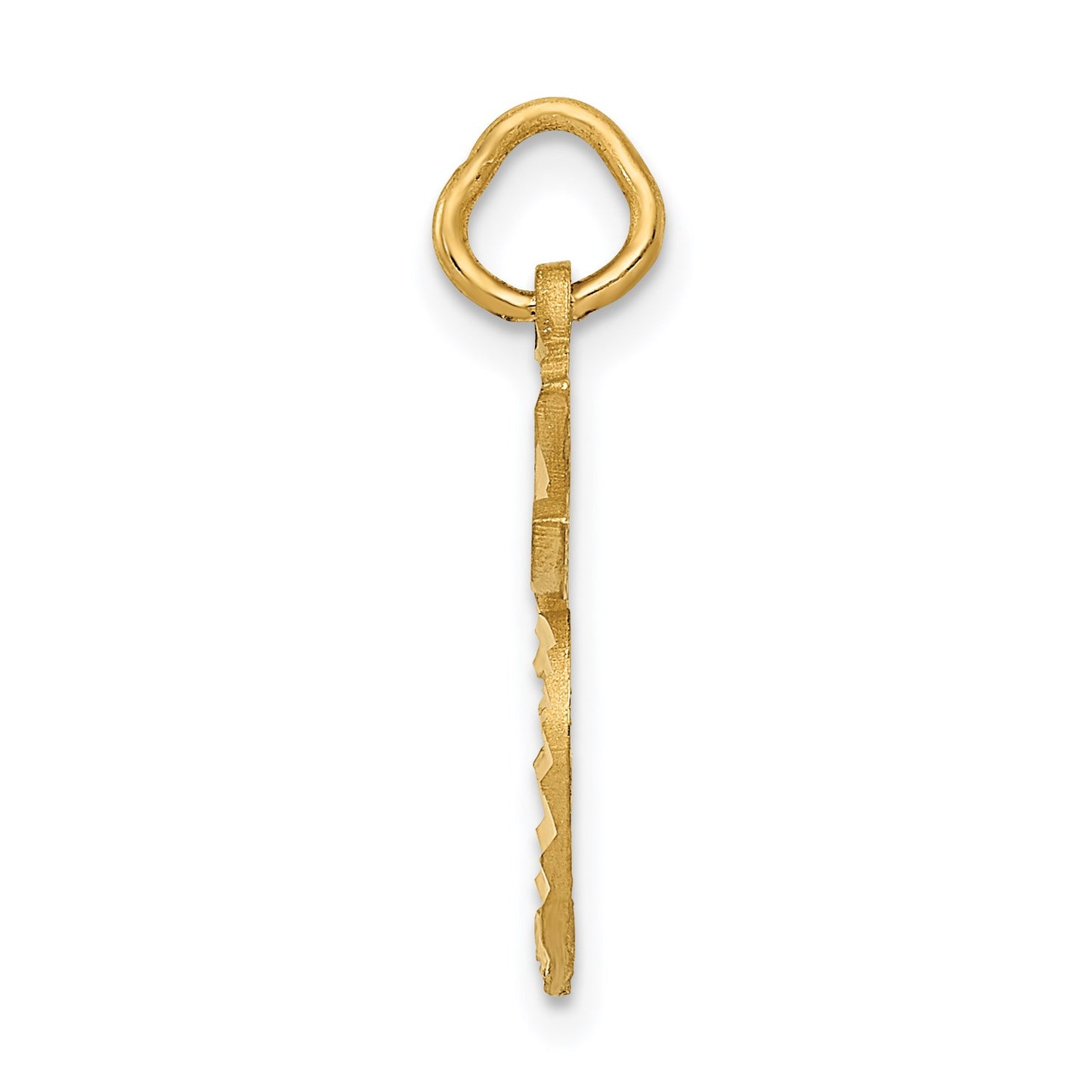 14k Diamond-cut Apple Charm