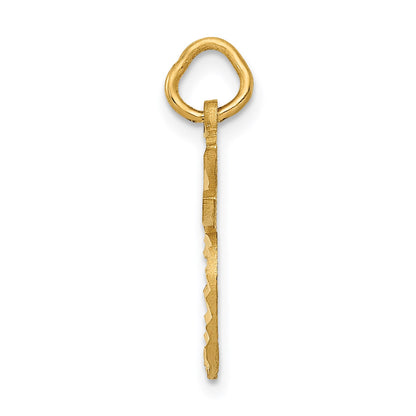 14k Diamond-cut Apple Charm