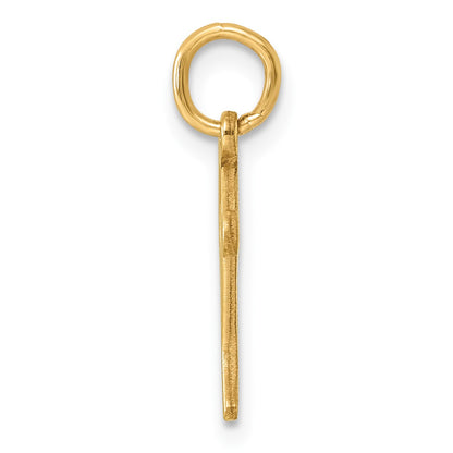 14k Letter P Initial Charm