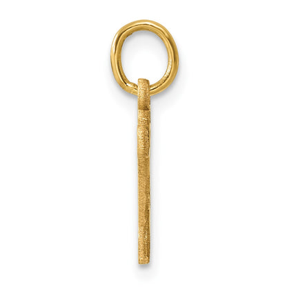 14k Letter V Initial Charm