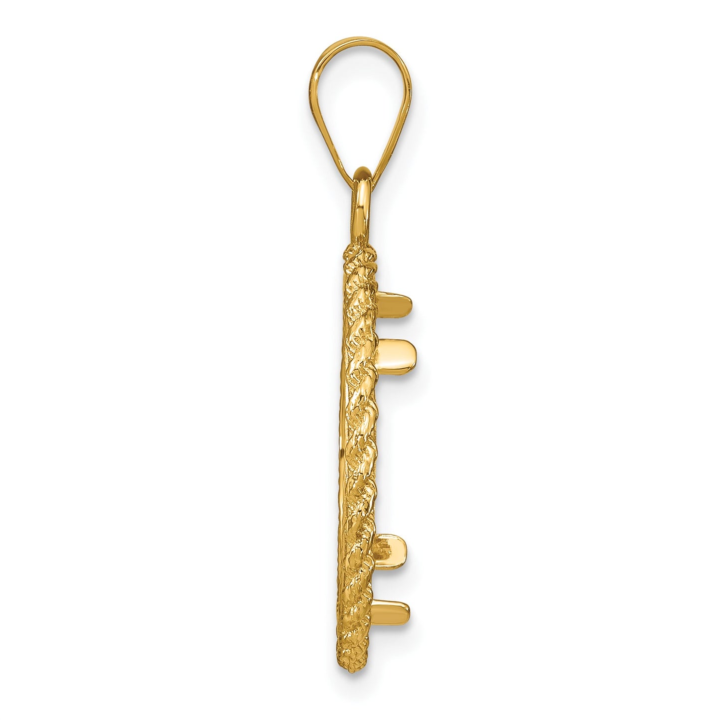 Wideband Distinguished Coin Jewelry 14k Polished and Diamond-cut with Casted Rope 16.5mm Prong Coin Bezel Pendant