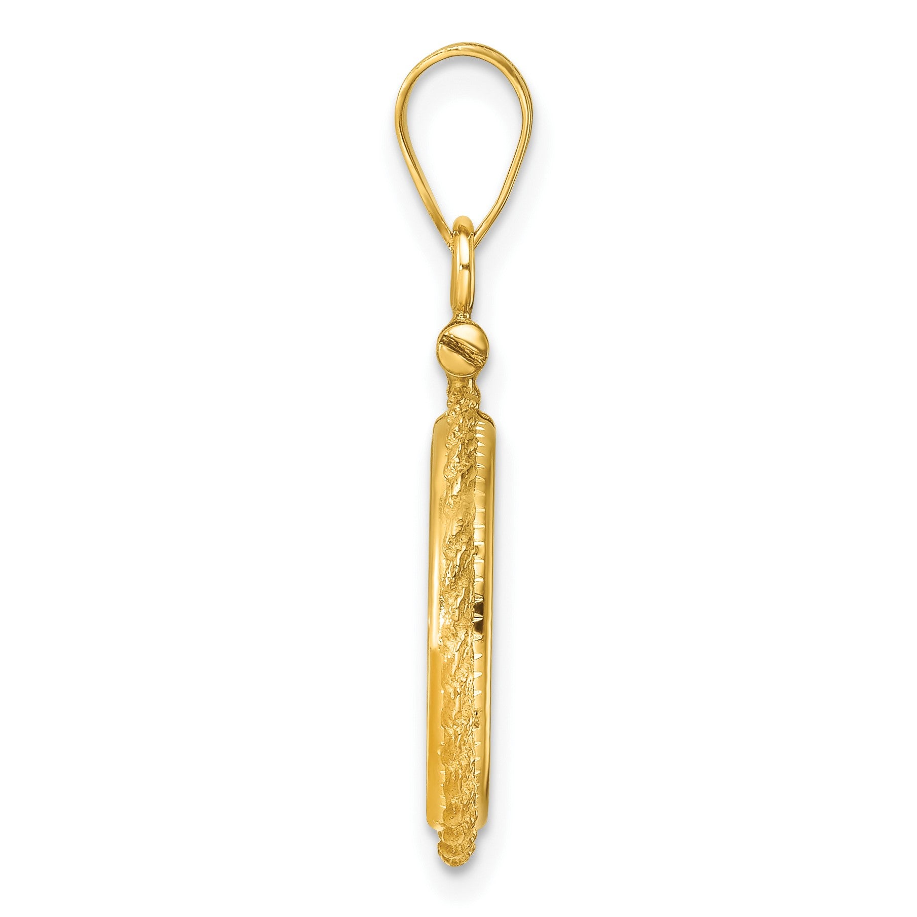 Wideband Distinguished Coin Jewelry 14k Polished Casted Rope 14.0mm x 1.1mm Screw Top Coin Bezel Pendant