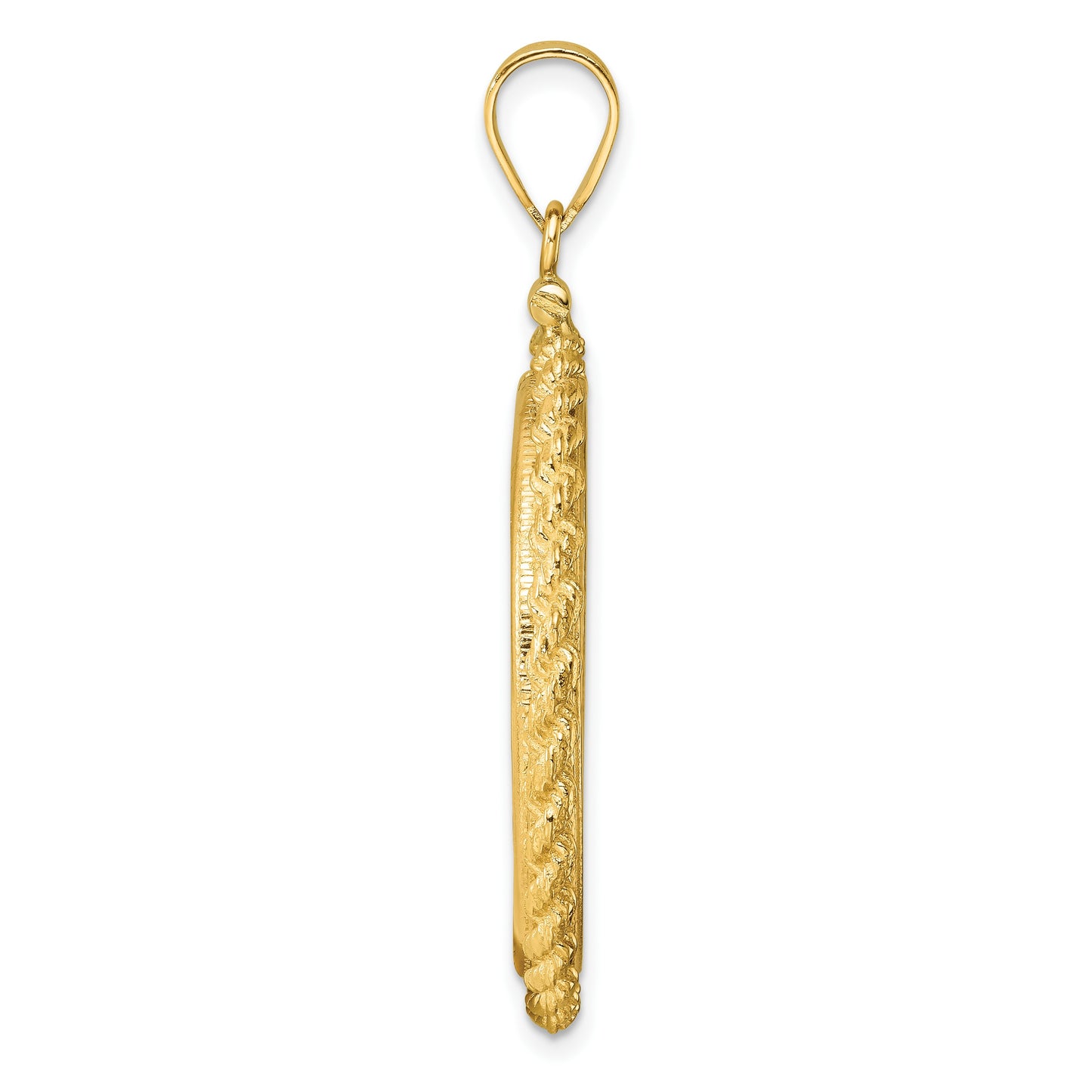 Wideband Distinguished Coin Jewelry 14k Polished Casted Rope 27.0mm x 2.35mm Screw Top Coin Bezel Pendant