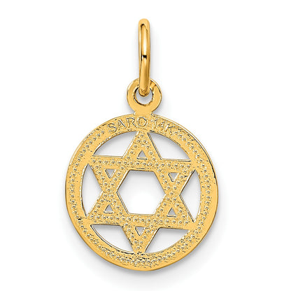 14k Solid Polished Star of David in Circle Charm