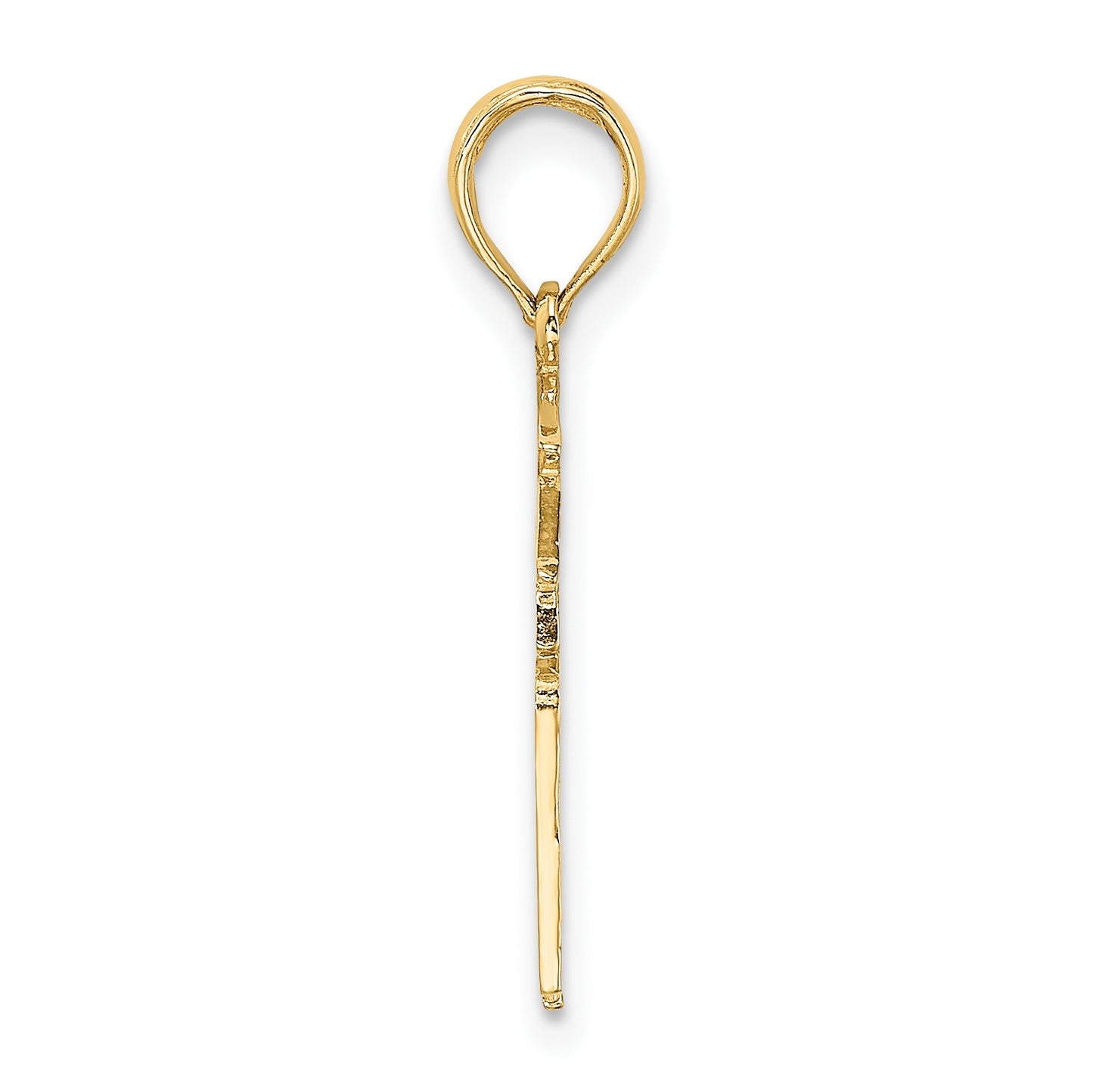 14k RN Registered NURSE Charm