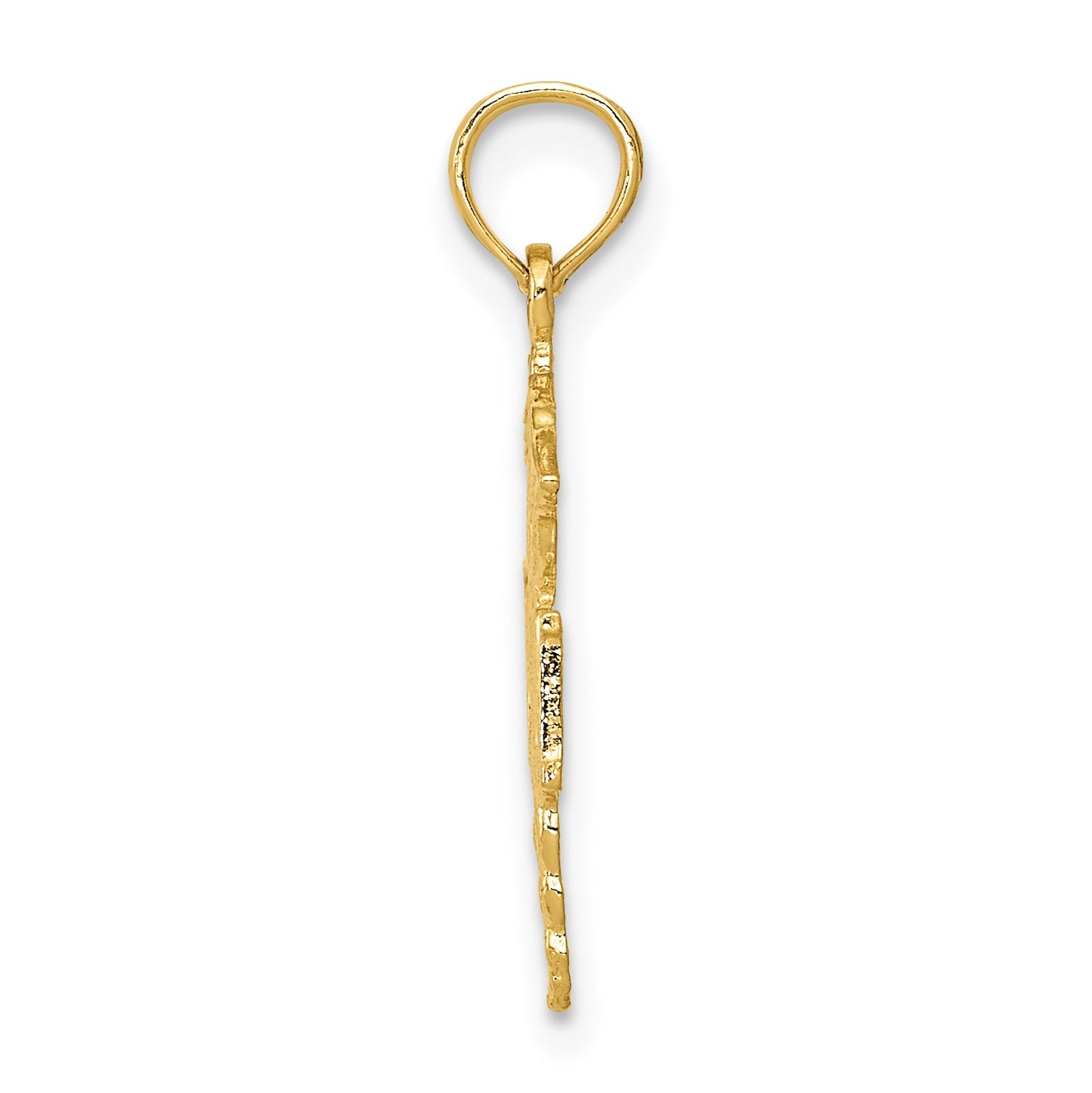 14k Polished R.N. Registered Nurse Pendant
