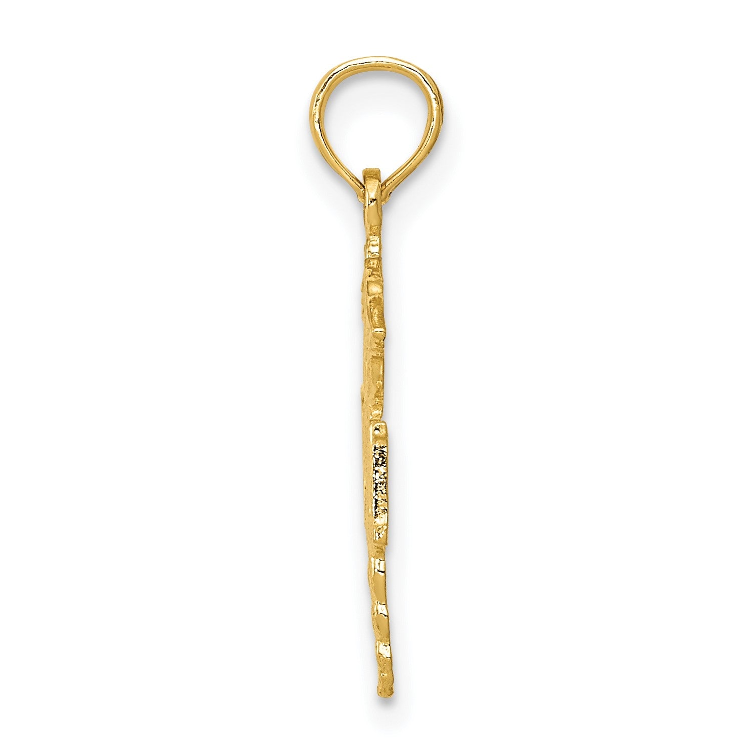 14k Polished R.N. Registered Nurse Pendant