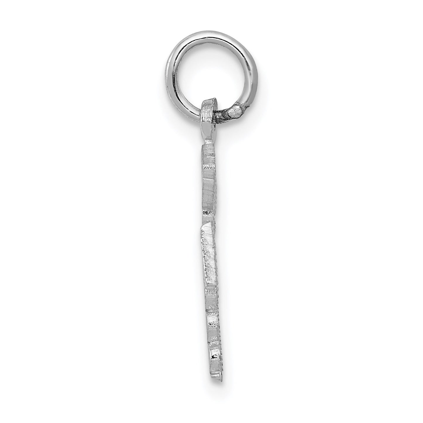 14k White Gold RN Registered Nurse Charm