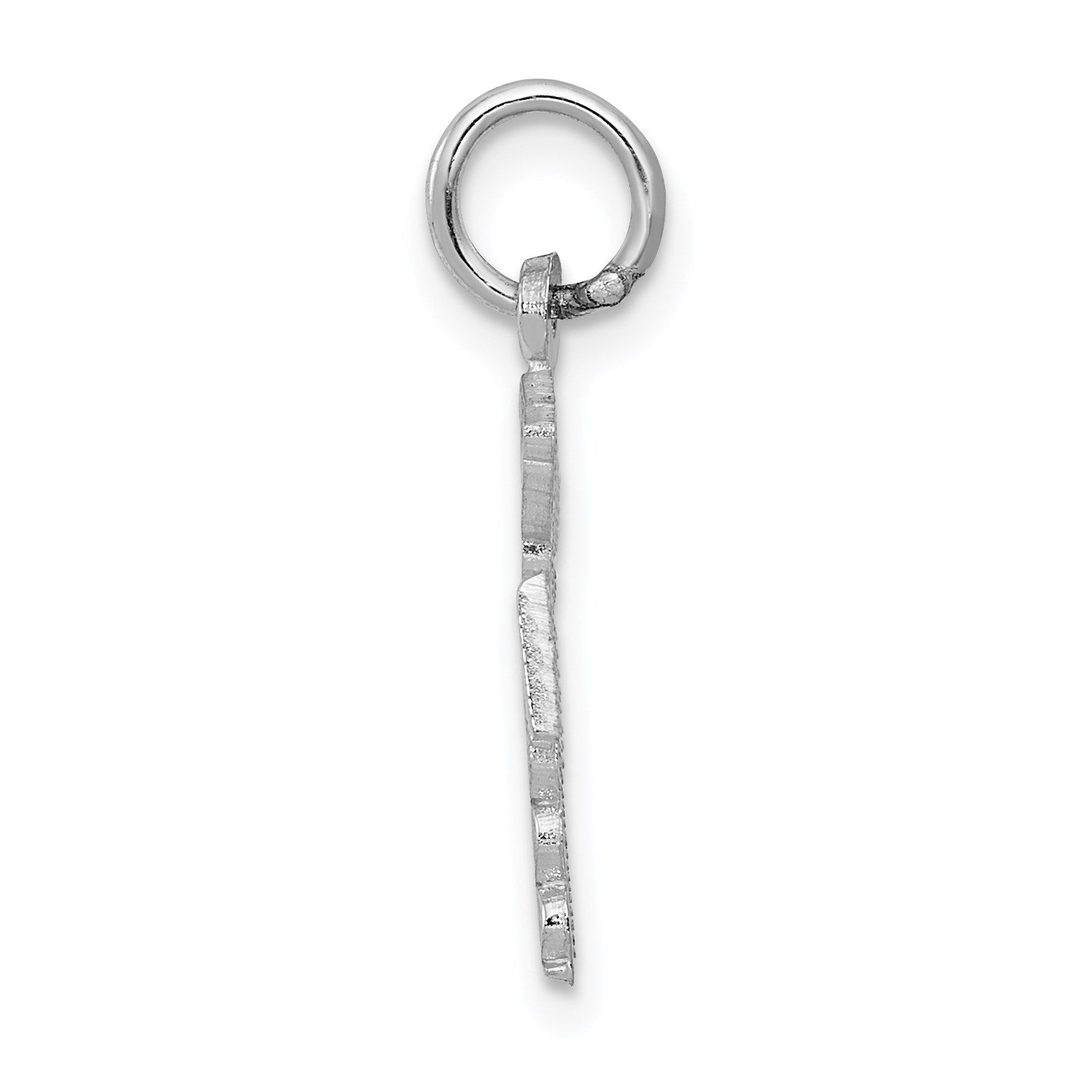 14k White Gold RN Registered Nurse Charm