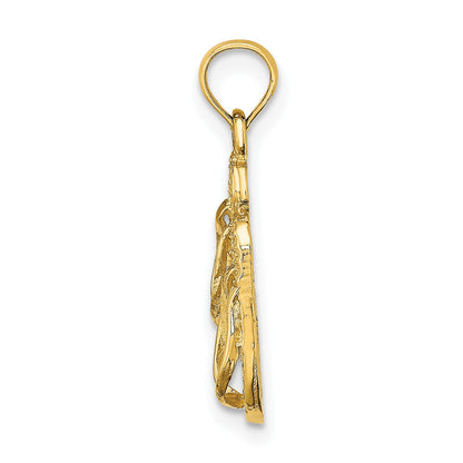 14k 3-D Solid Polished HAWAII Flip-Flops Charm