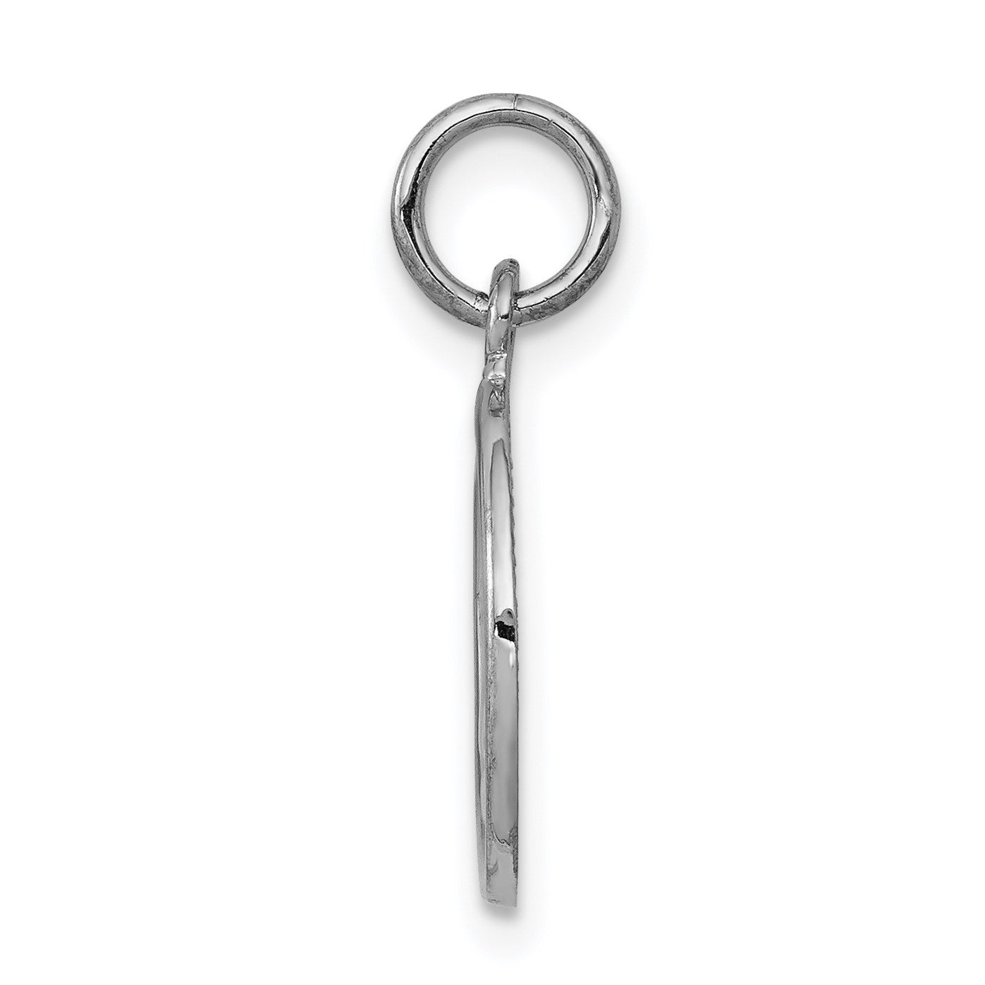 14k White Gold Polished Angel Round Charm