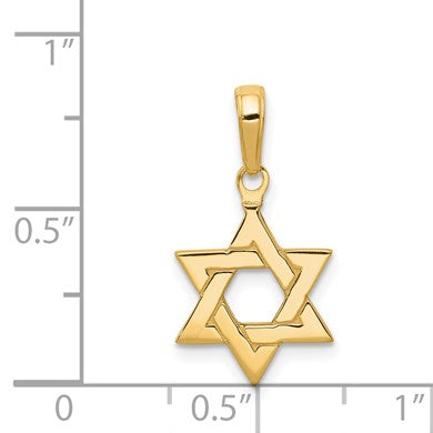 14k Polished Star of David Pendant
