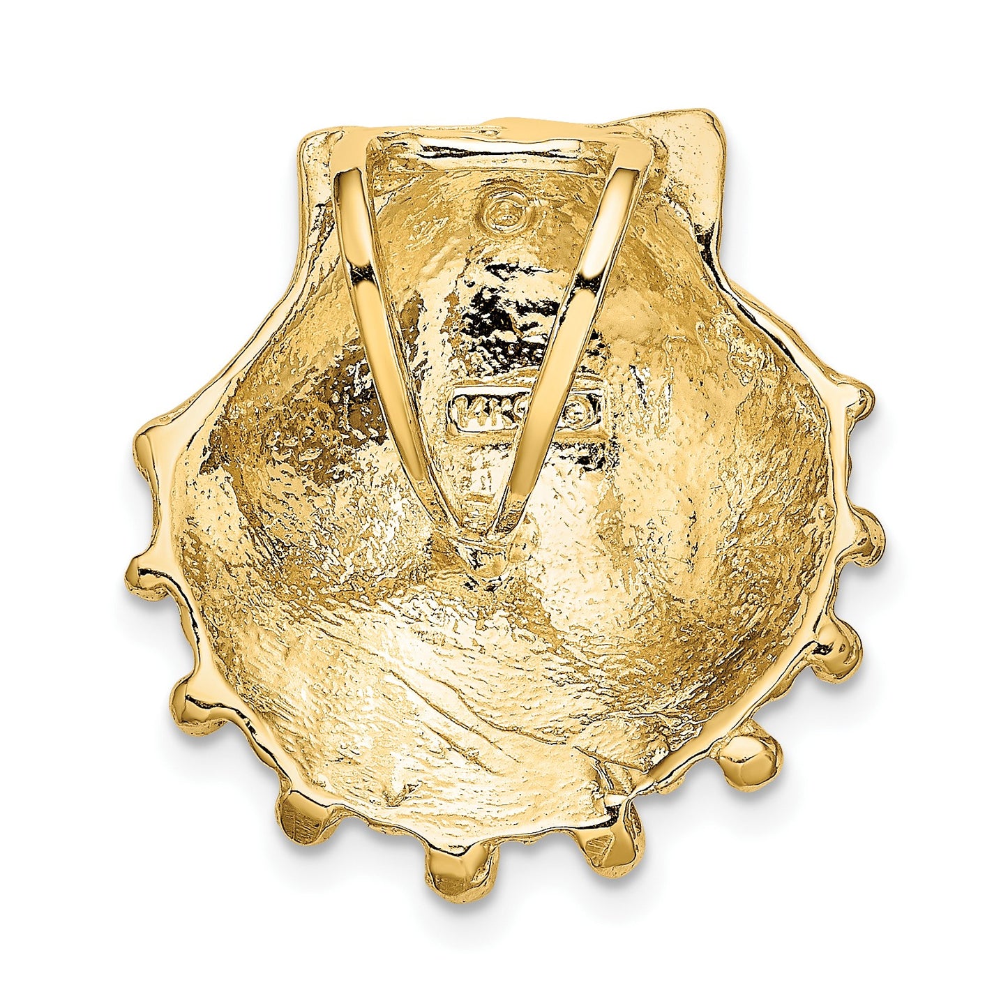 14k Small Lion's Paw Shell Omega Slide