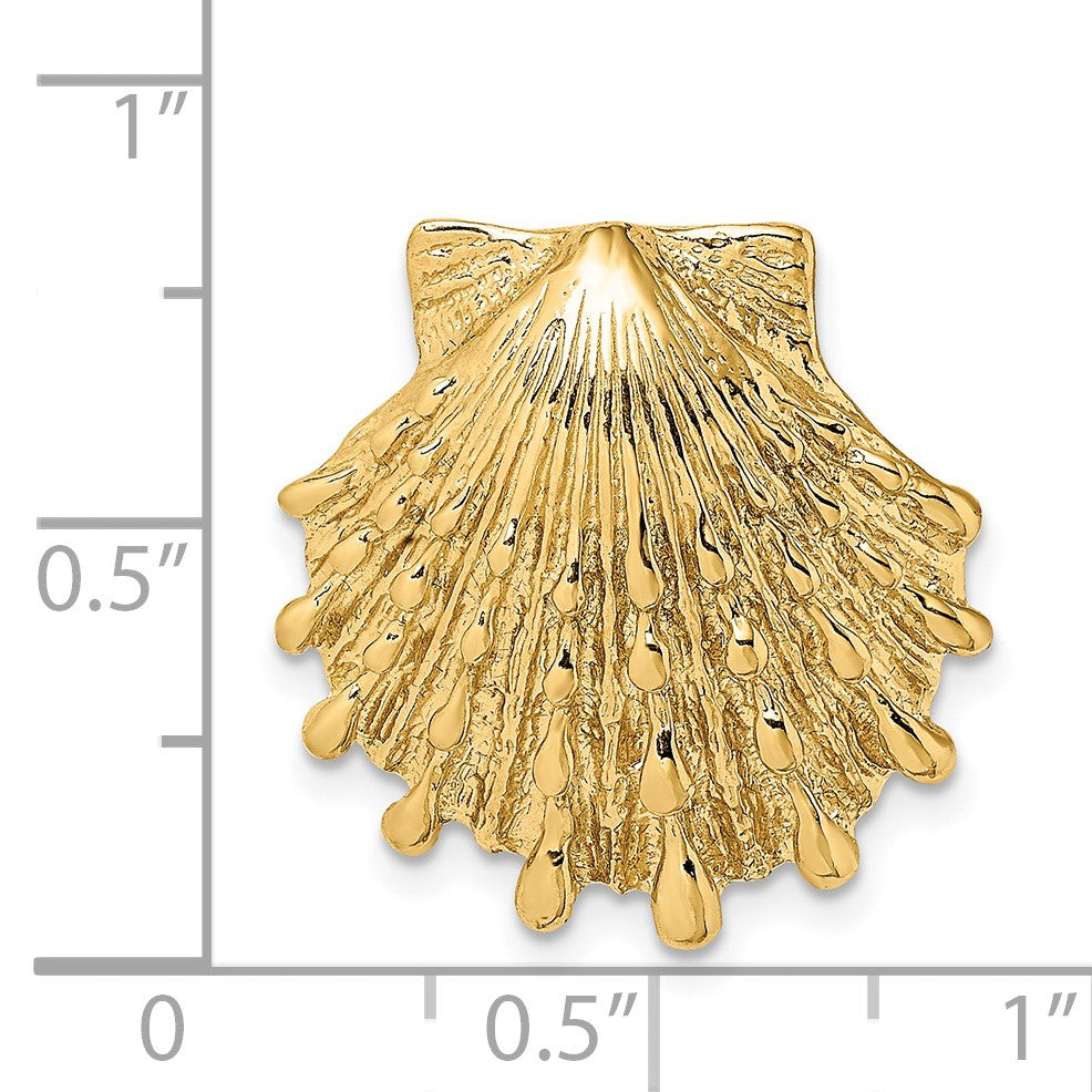 14k Small Lion's Paw Shell Omega Slide
