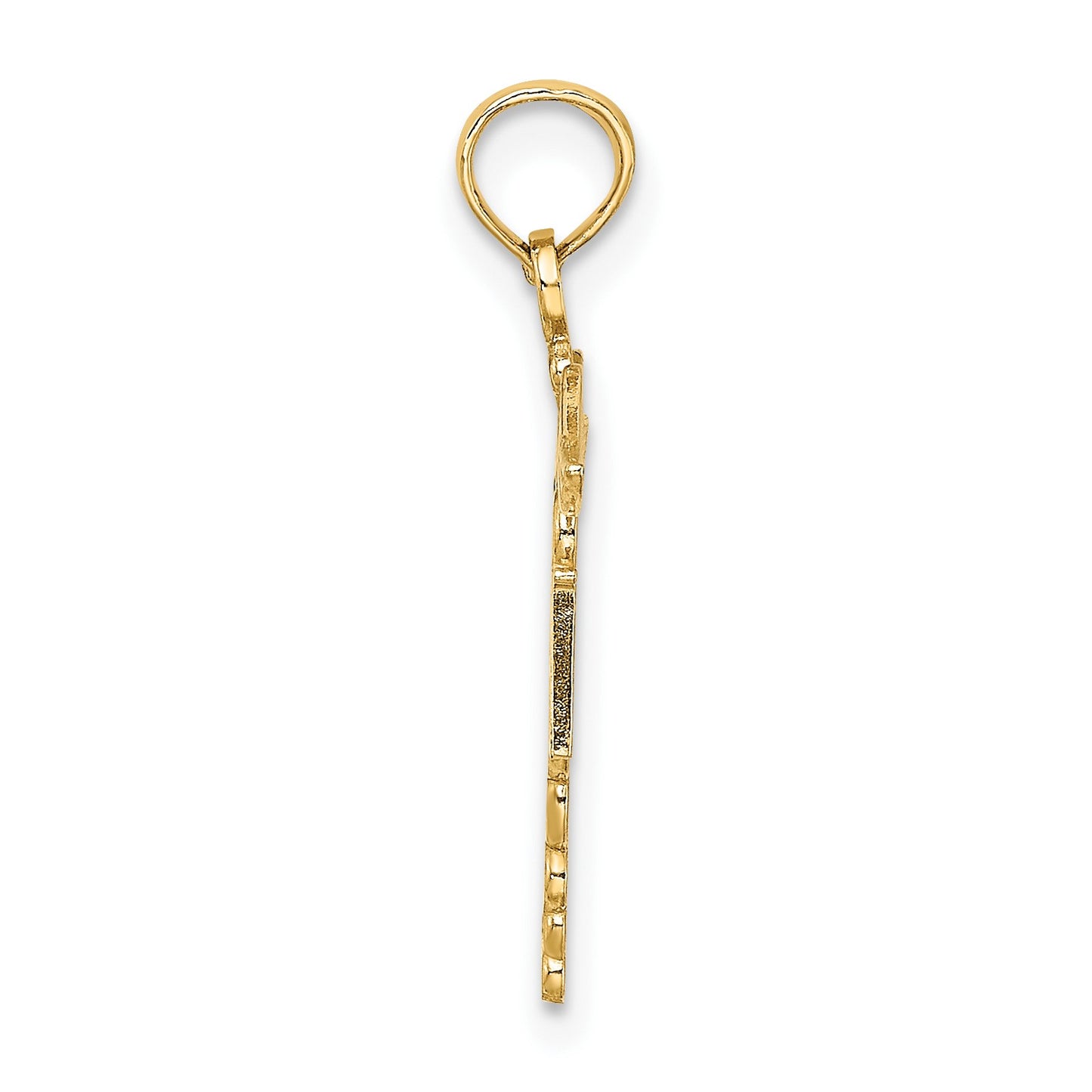 14k RN Registered Nurse Caduceus Charm