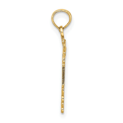 14k RN Registered Nurse Caduceus Charm