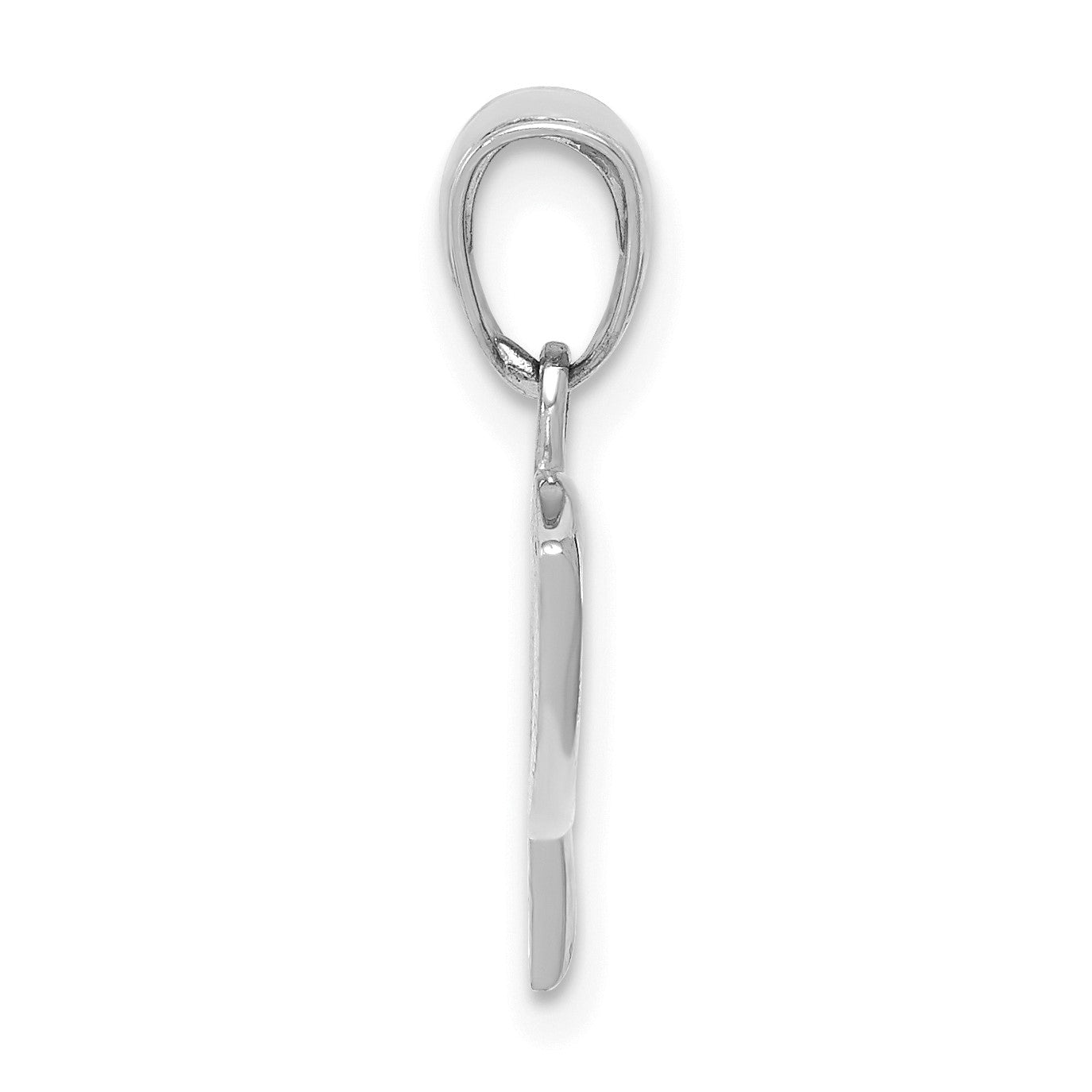 14k White Gold Ichthus Fish Pendant