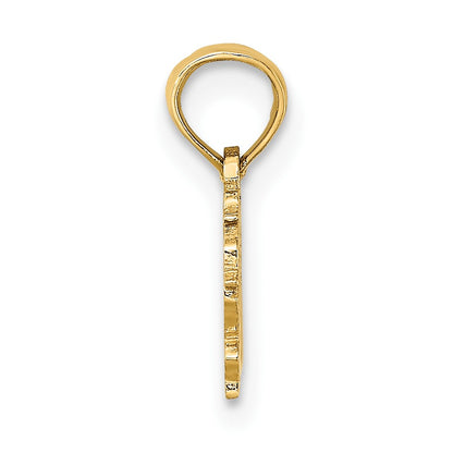 14K 100% VIRGO Zodiac Charm