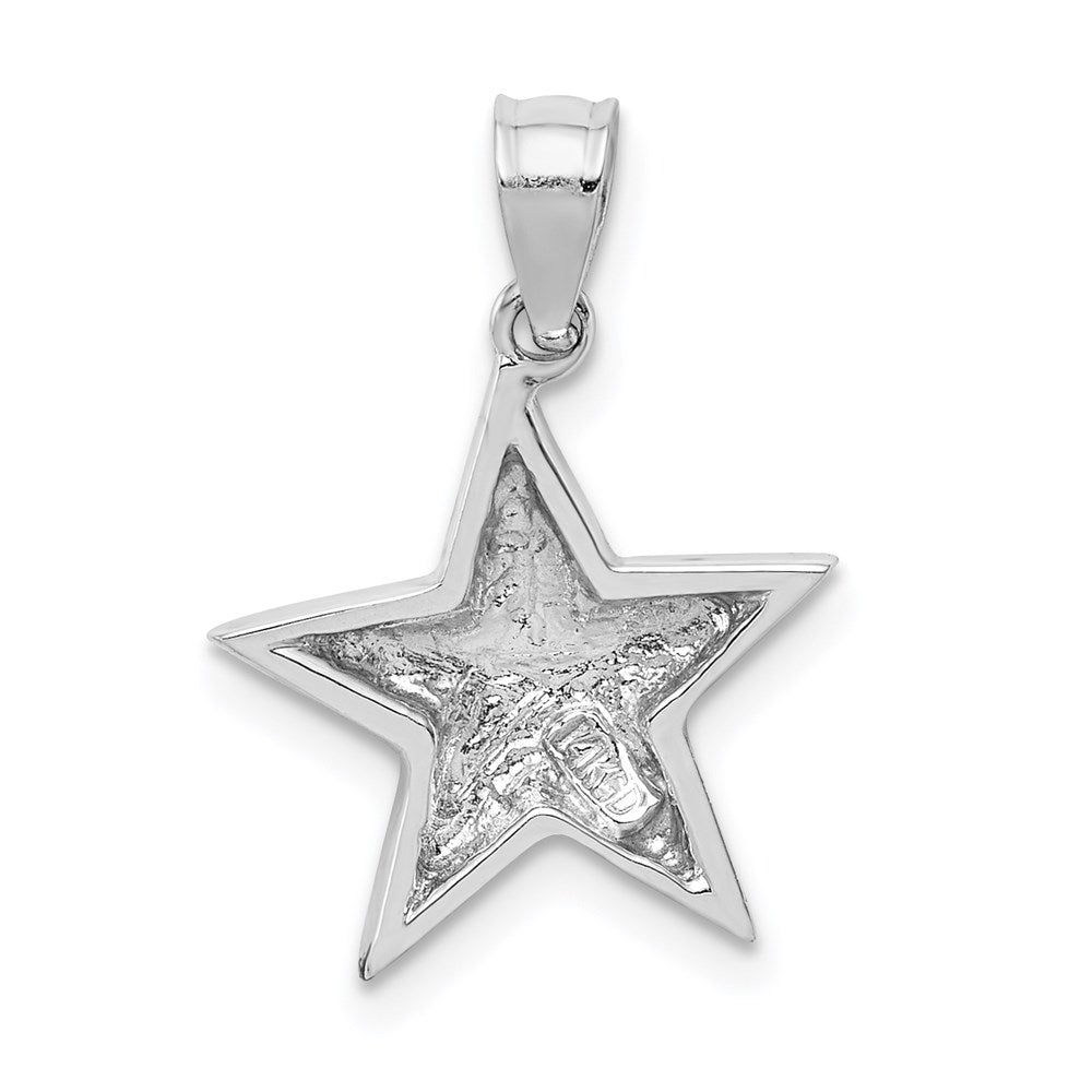 14K White Polished Star Pendant