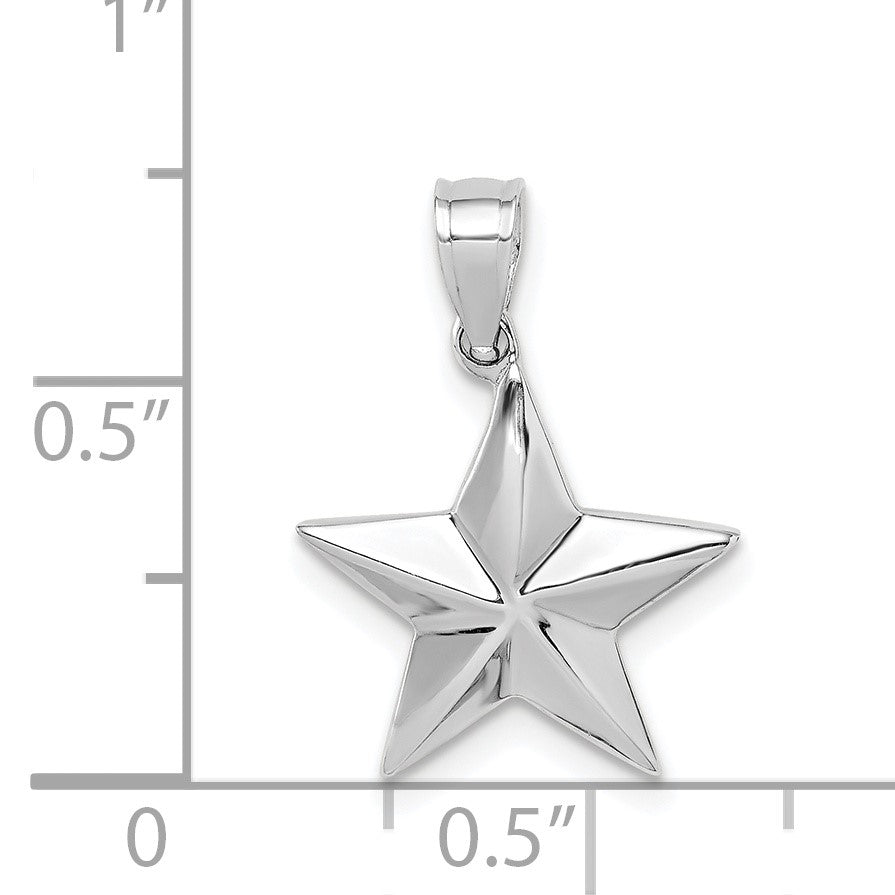 14K White Gold Polished Star Pendant