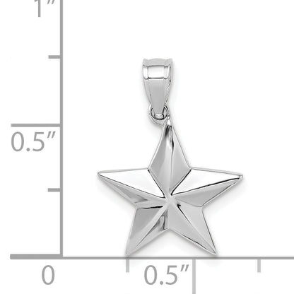14K White Gold Polished Star Pendant