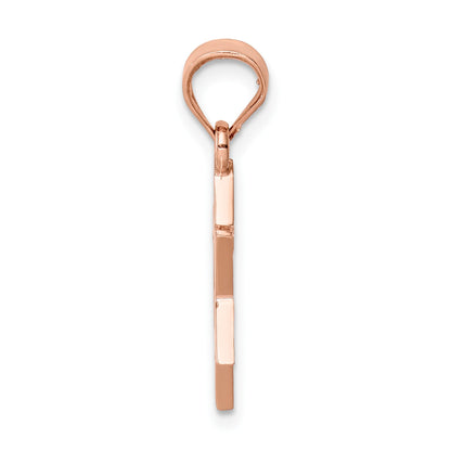 14K Rose Gold Polished Star of David Pendant