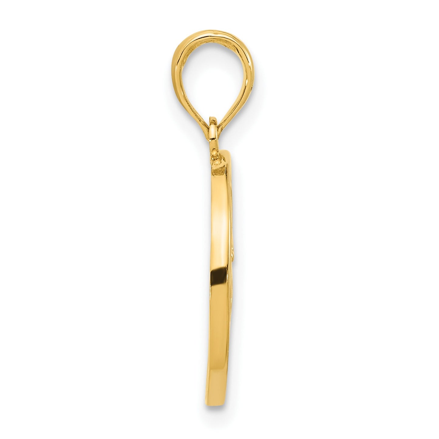 14k Polished Music Notes and Treble Clef in Circle Pendant
