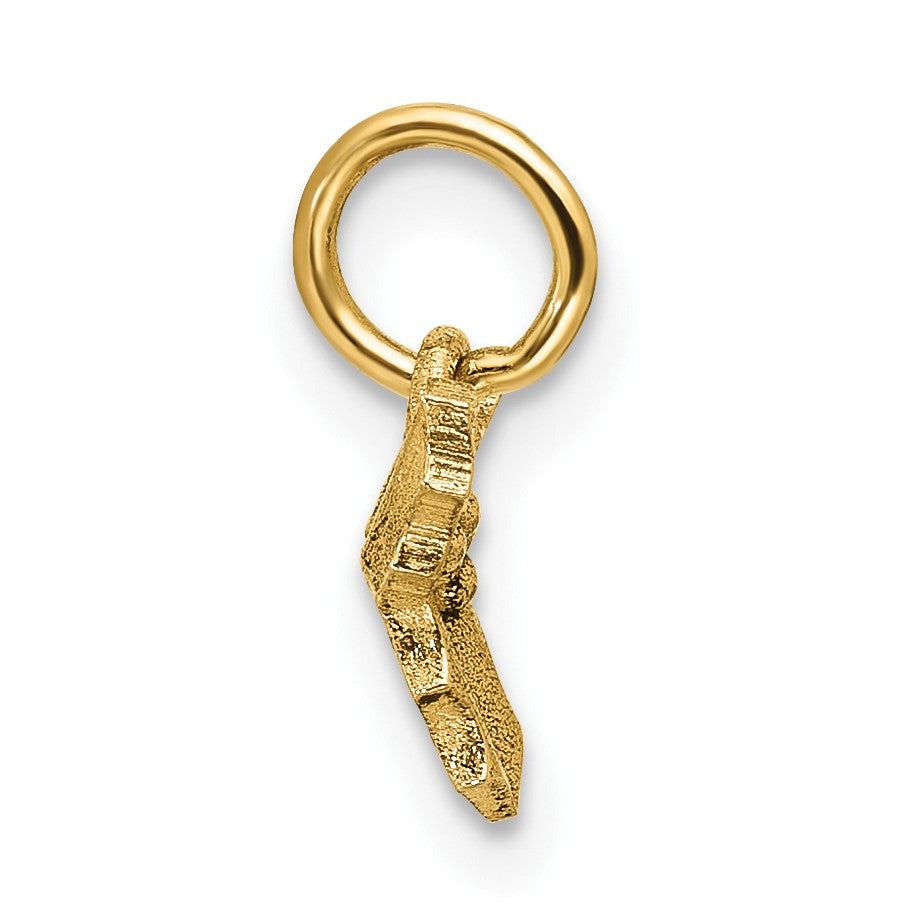 14K Polished Holly Pendant