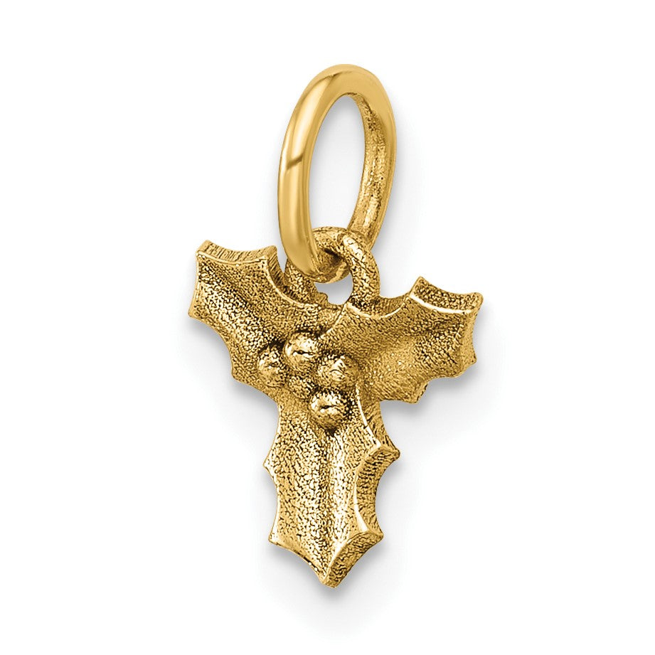 14K Polished Holly Pendant