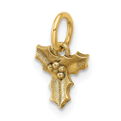 14K Polished Holly Pendant