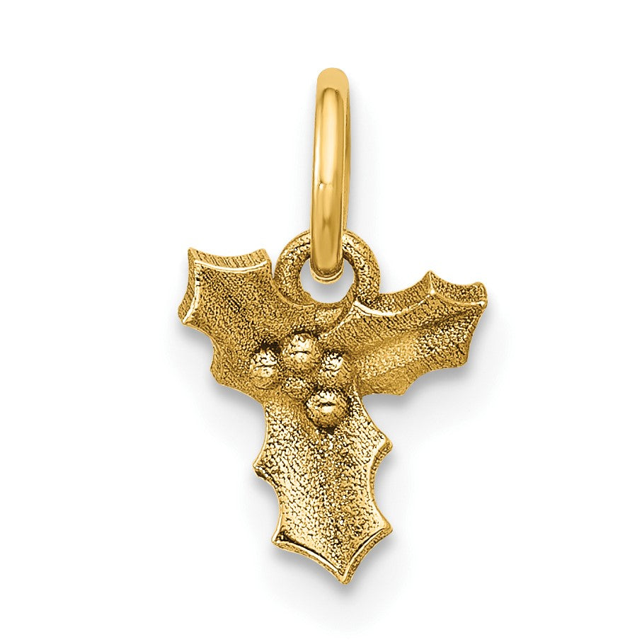 14K Polished Holly Pendant