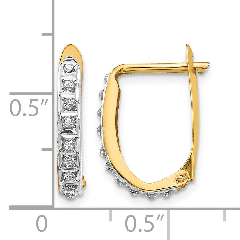 14k Diamond Fascination Diamond Dust/Accent 2x16mm Oval Hinged Hoop Earrings