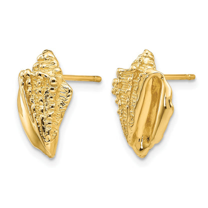 14k Conch Shell Earrings
