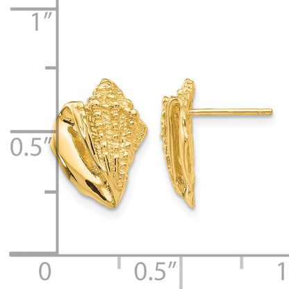 14k Conch Shell Earrings
