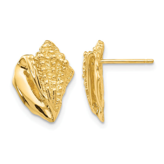 14k Conch Shell Earrings