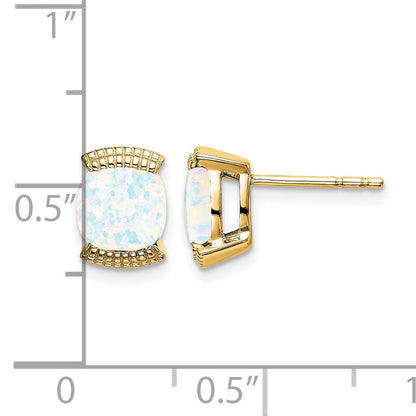 14k 6mm Cushion Lab Created Opal Post Earrings