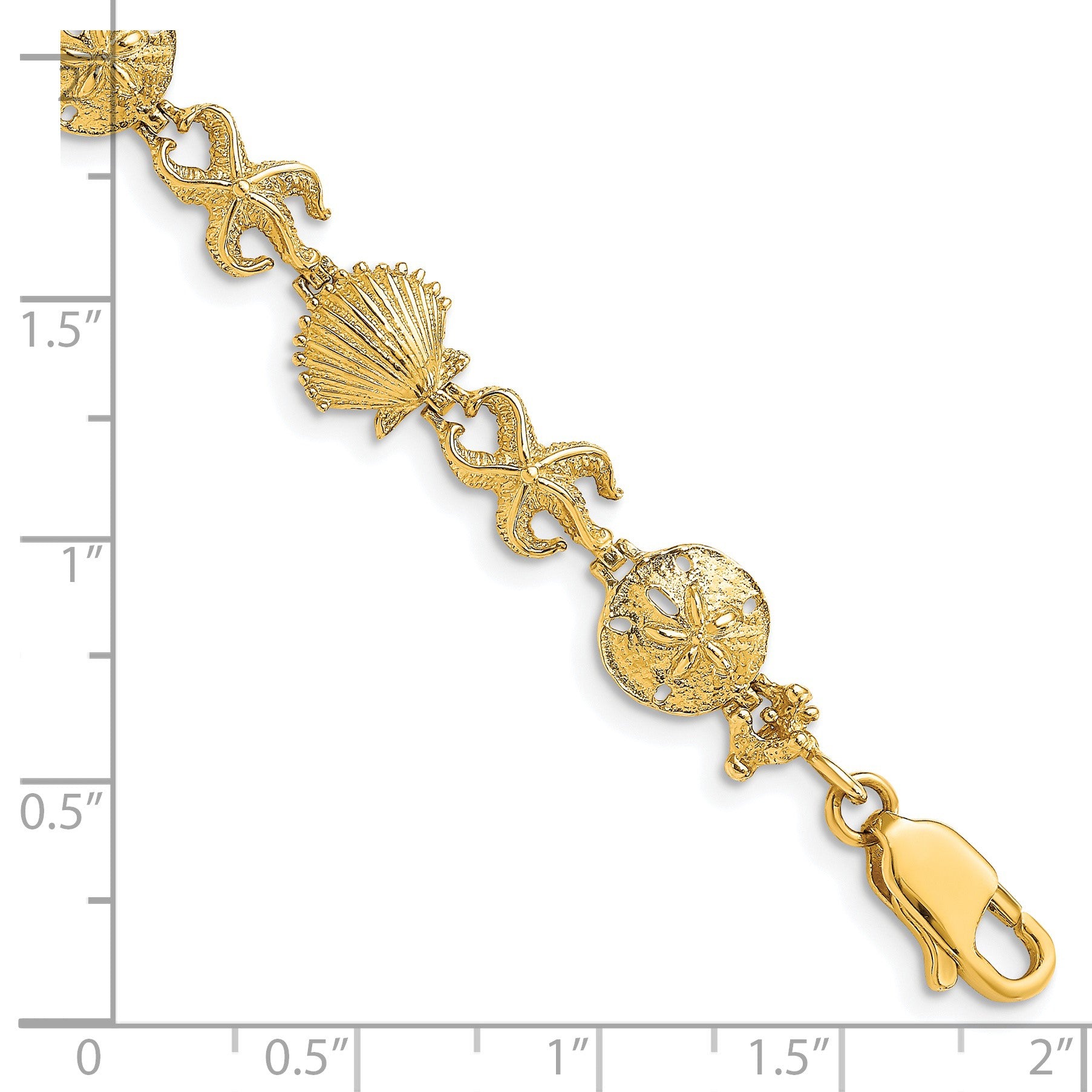 14K Polished Shell/Sand Dollar/Starfish 7 inch Bracelet