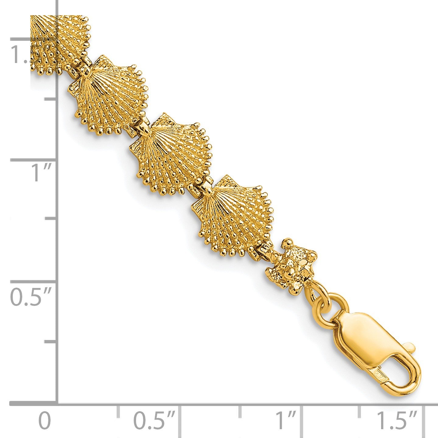 14k Scallop Shell 7 inch Bracelet