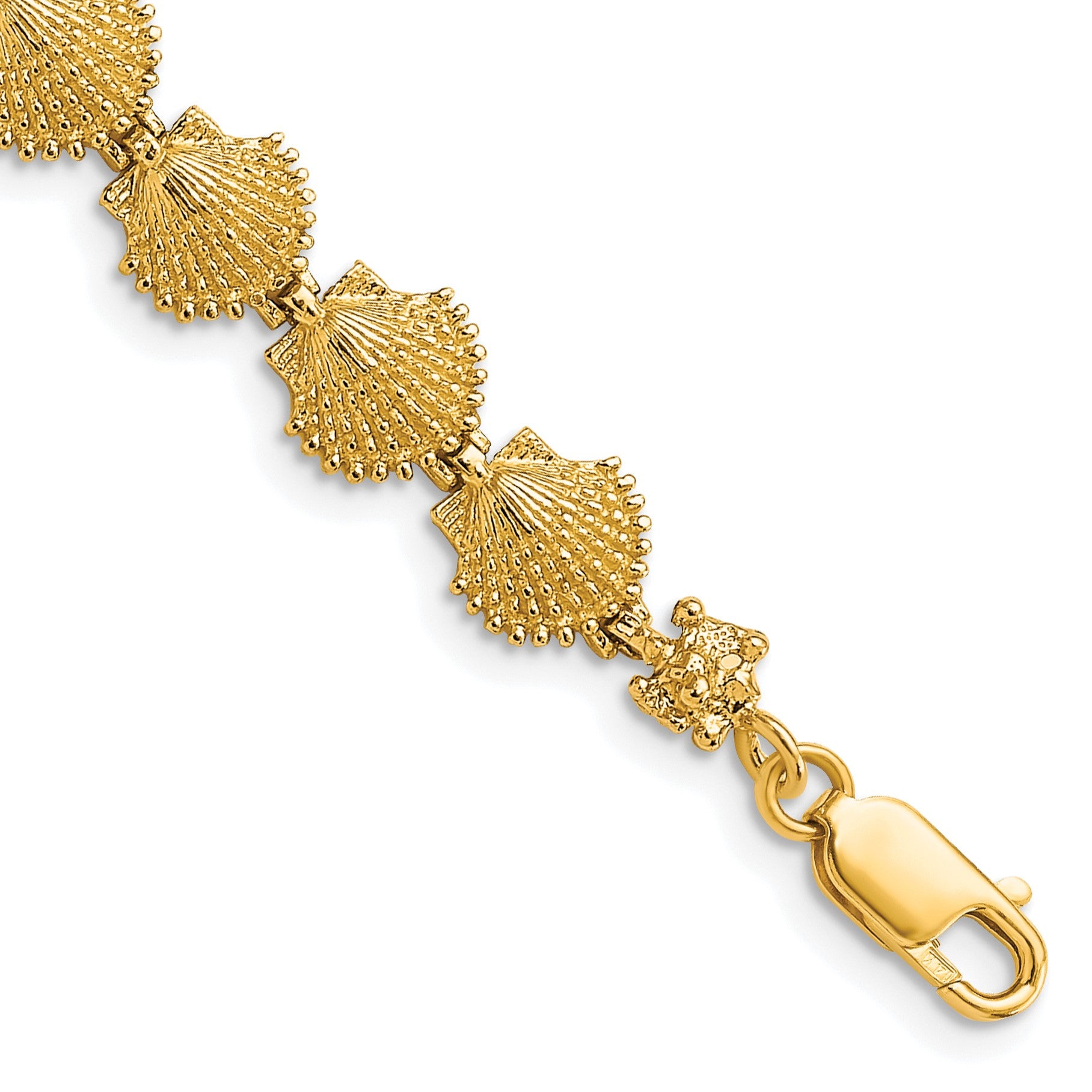 14k Scallop Shell 7 inch Bracelet